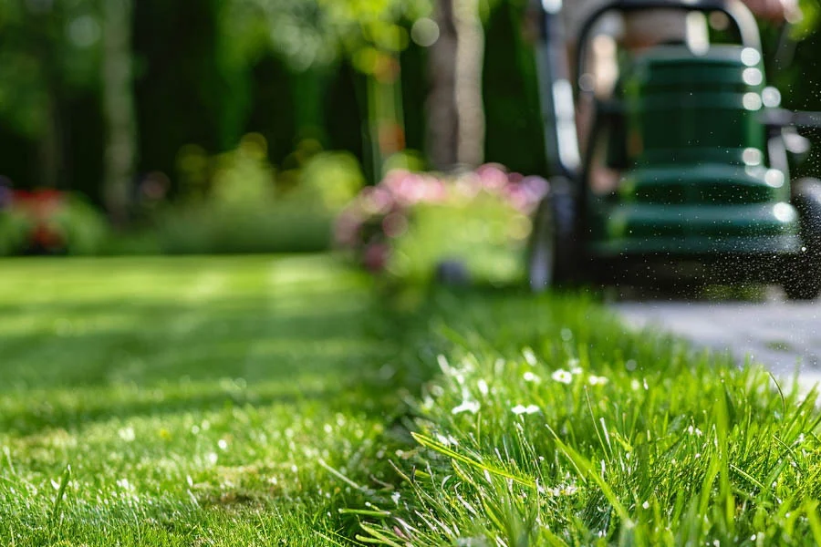 self propelled cordless lawn mowers